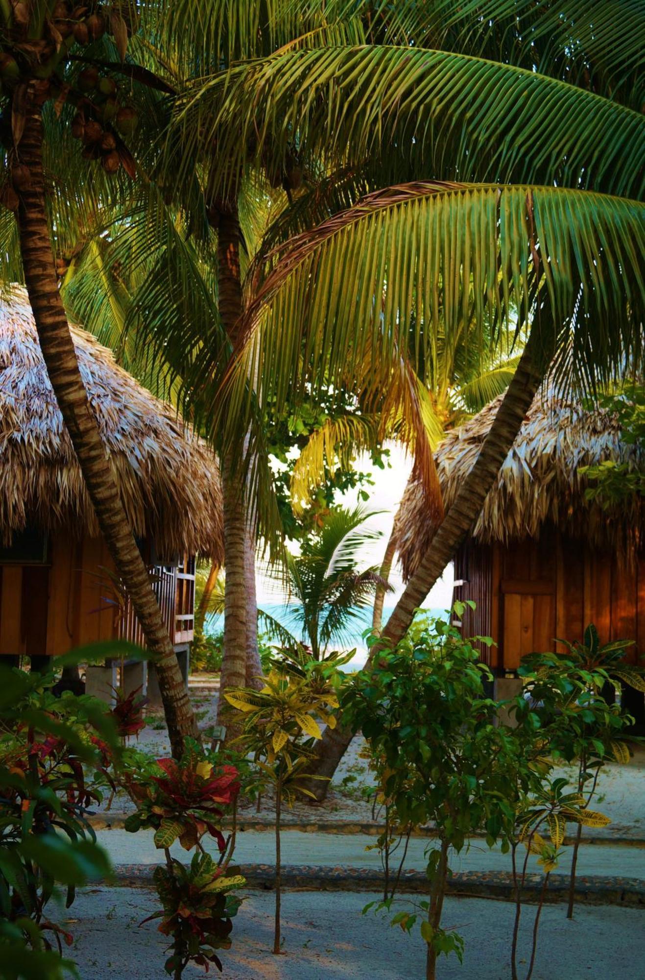 St. George'S Caye Resort Belize City Bilik gambar